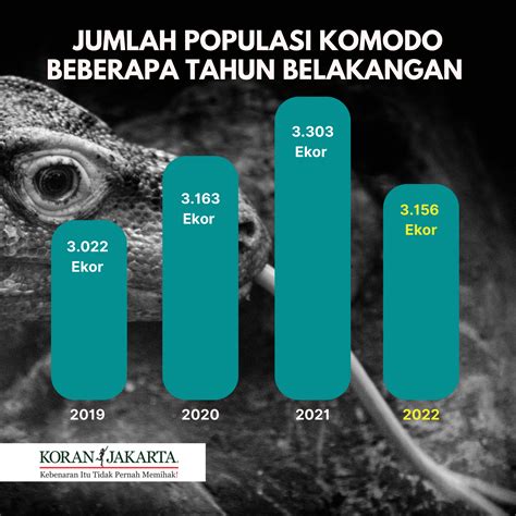 Populasi Komodo Tahun 2022 Alami Penurunan Infografis Koran Jakarta