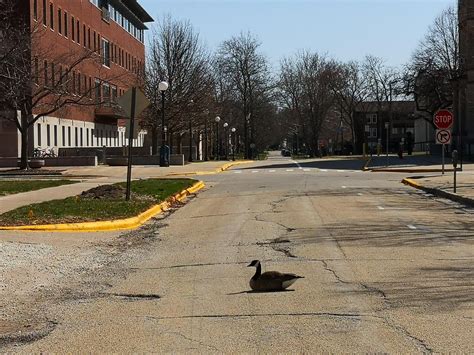 Students are complaining about the difficulty of UIUC CS courses today 24