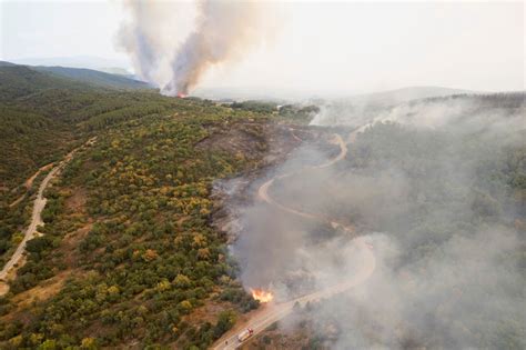 Flames Devour Forests And Homes As Wildfires In Greece Burn Out Of