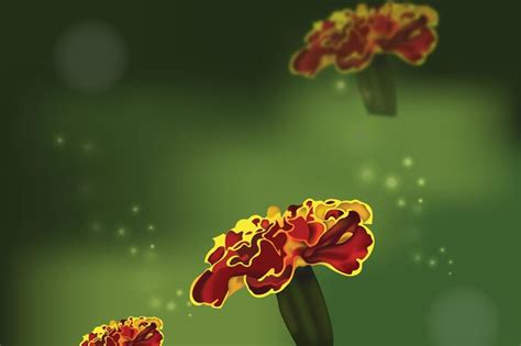 Premium Vector | Marigold flower background design