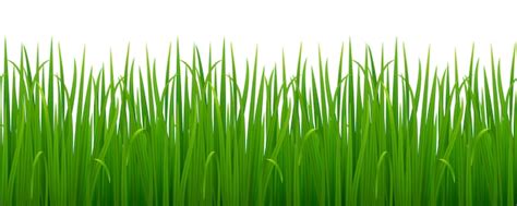 Premium Vector Green Realistic Grass