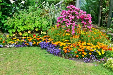 Blumenbeet Anlegen Blumenarten Planung Vorbereitung Pflanzung