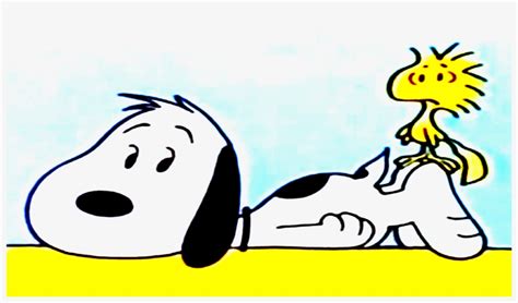 Snoopy Clipart May Woodstock Transparent PNG 2800x1549 Free