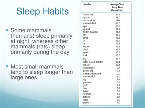 Ppt Physiological Functions Of Sleep Powerpoint Presentation Free