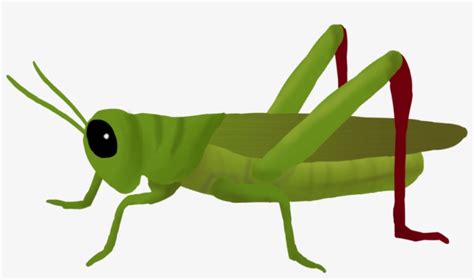 clipart cricket bug 20 free Cliparts | Download images on Clipground 2025