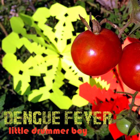 dengue fever music band 5