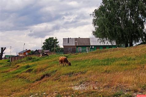 Фото: "Люблю деревню я и лето...". Фотолюбитель Валентина Радзиевская ...
