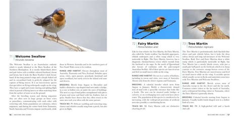 Backyard Bird Sounds | NHBS Field Guides & Natural History