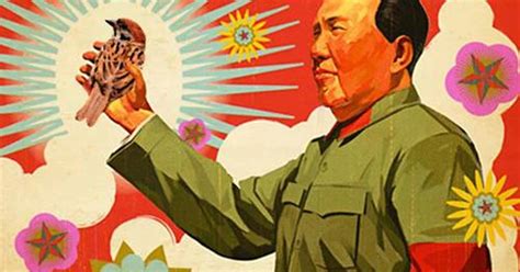 La Cruel Masacre De Gorriones Que Ordenó Mao Y Provocó La Muerte Por Hambre De 36 Millones De