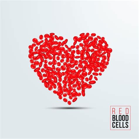 Premium Vector | Red blood cells in a heart shape. erythrocyte, health ...