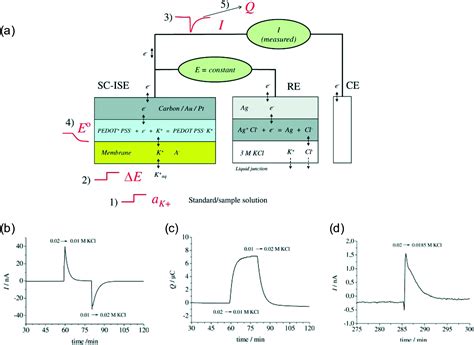 Ionophore Based Ion Selective Electrodes Signal Transduction And