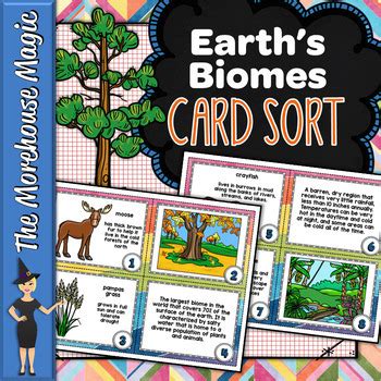 Biomes Card Sort Science Card Sort By The Morehouse Magic Tpt