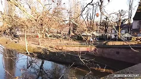 Vídeos de Amor anal gratis xHamster