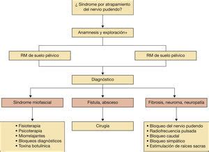 S Ndrome Por Atrapamiento Del Nervio Pudendo Reflexiones Sobre El