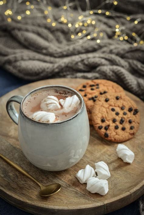 Cup Of Delicious Hot Cocoa With Marshmallow And Cookies Stock Photo