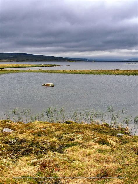 Elevation of Hardangervidda National Park, Norway - Topographic Map ...