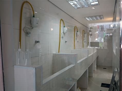 Dono De Franquia De Lingerie Quer Transformar Pet Shop De Luxo Em Nova Rede Economia Uol