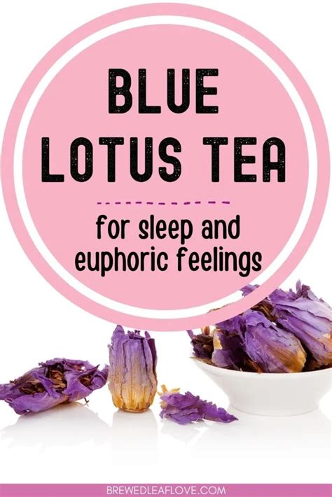 How To Make And Use Blue Lotus Flower Tea Brewed Leaf Love