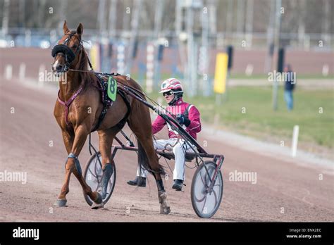 Racing Trot Fotos Und Bildmaterial In Hoher Aufl Sung Alamy