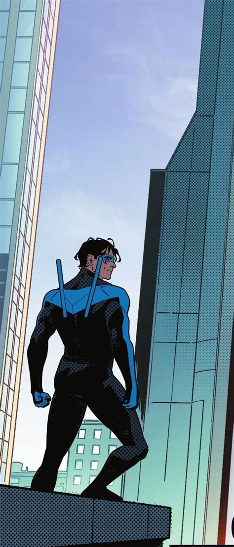 Asa Noturna Nightwing And Batgirl Vibe Dc Comics Dc Comics Artwork