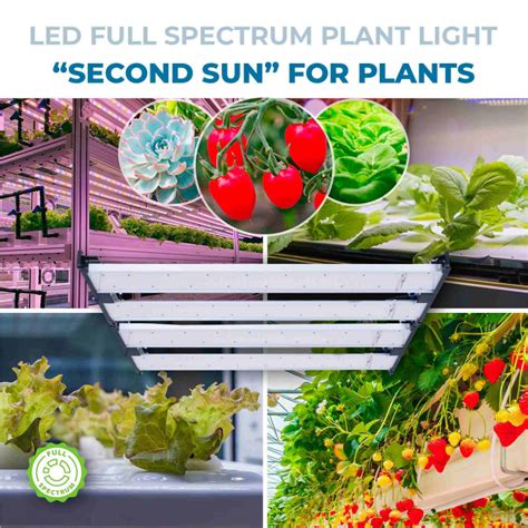 Luminaria Led Para Crecimiento De Plantas Con Enchufe W