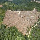 Soil Erosion Due to Rainforest Deforestation | Sciencing