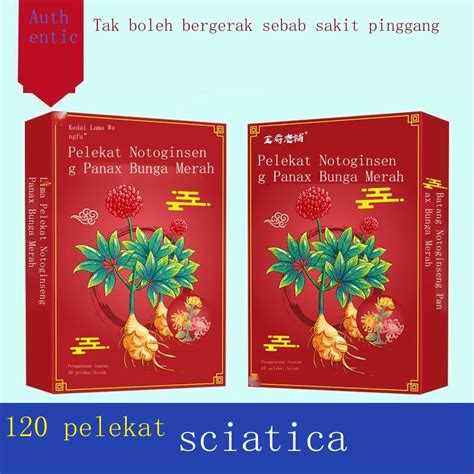 Honghua Panax Notoginseng Patch 60 70 Tahun Hernia Cakera Lumbar Tulang