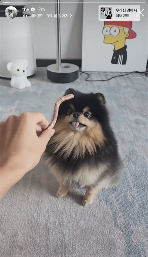 Hearting On Twitter Thv Instagram Updates With Yeontan Its Been