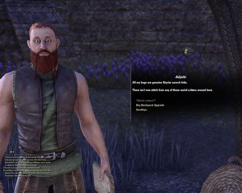 Hilarious screenshots — Elder Scrolls Online