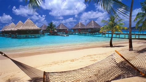 Bora Bora Tahiti Resort Beach Hammocks Palm Trees Sand Sea