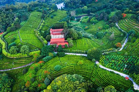 梅州值得去的景区，突出茶文化和客家文化，是休闲度假的好地方客家文化梅州茶文化新浪新闻