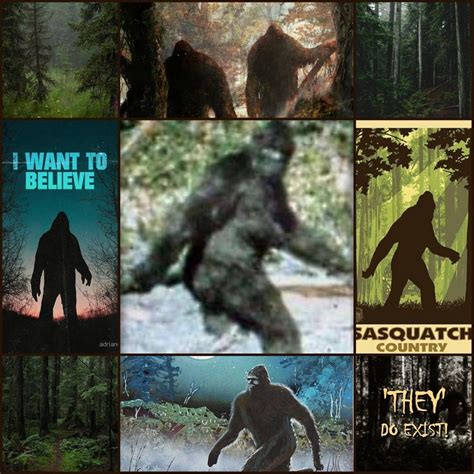 Bigfoot Aesthetic Cryptozoology Aesthetic Eerie