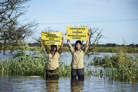 Fundaci N Greenpeace Argentina Experiencia En Las Inundaciones En