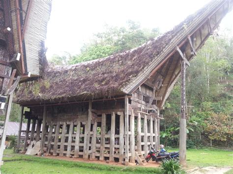 Rumah Adat Toraja - Makna, Jenis, Gambar & Penjelasan Lengkap