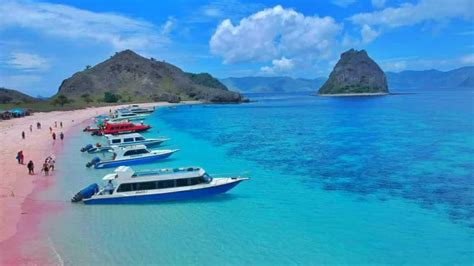 Open Trip Labuan Bajo 1 Hari Speed Boat Bali Shuttle Service Tour