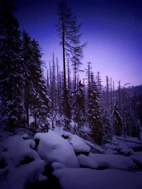 Tatry Galéria Fotomask