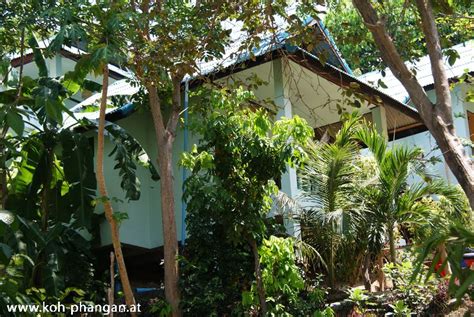 Koh Phangan Coconut Beach And Garden Bungalows Fotogalerie Koh Phangan