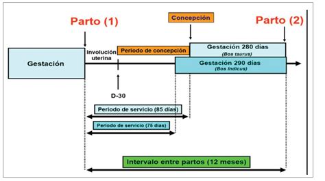 Por Qu Usar Iatf Infortambo Andina