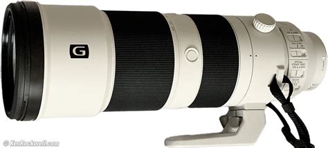 Sony 200-600mm Review