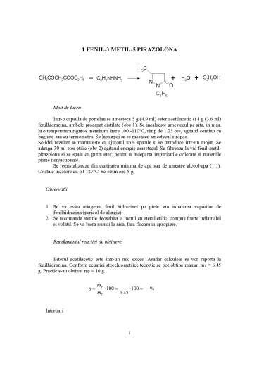 Fenil Metil Pirazolona Laborator Doc