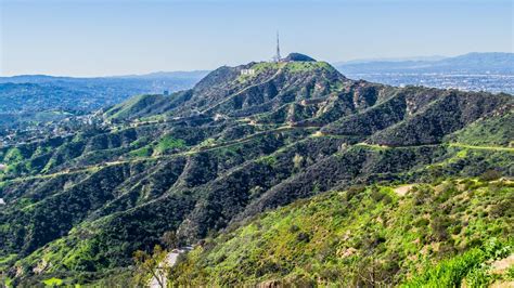 Gorgeous Mount Hollywood From Our Hollywood Tour In Los Angeles