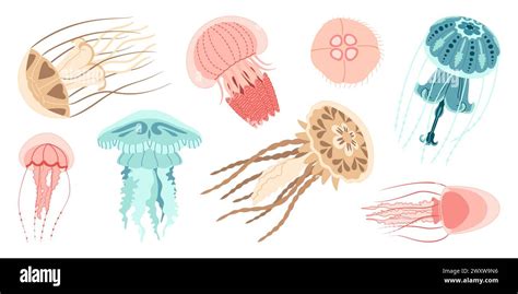 Jellyfish Cartoon Icon Collection Medusa Trendy Flat Style Icon Set