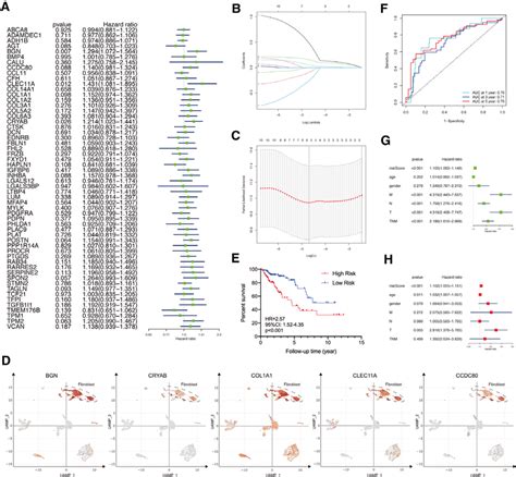 Constructing A Prognostic Signature For CRC Based On Hallmark Genes Of