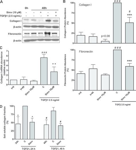 Simvastatin Suppresses Tgfb1 Induced Collagen I And Fibronectin