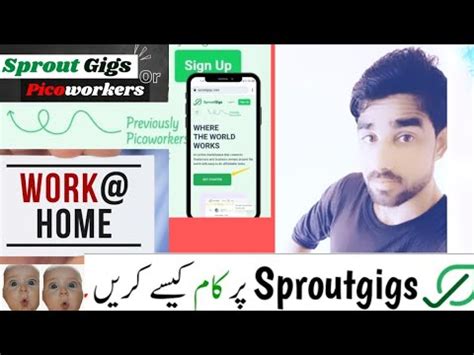 Sprout Gigs Actually Picoworkers Gigs In 2023 Earn Money Through Sprout