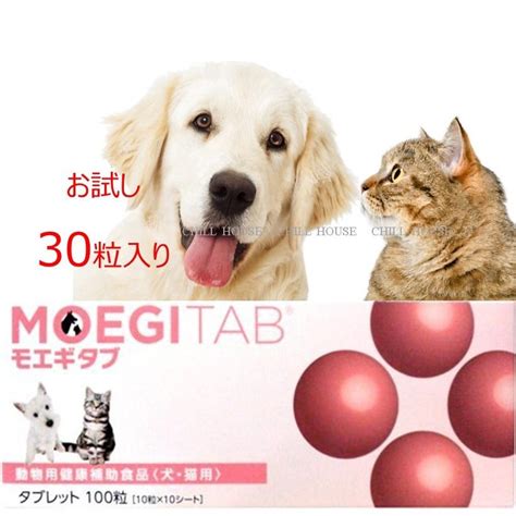 モエギタブ Moegitab 1日1粒 30粒 30日分 お試し 箱無し Pt 20220227 39660 001 Chill