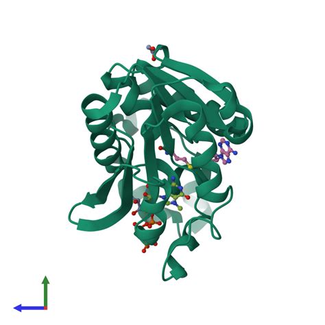 Pdb Gdh Gallery Protein Data Bank In Europe Pdbe Embl Ebi