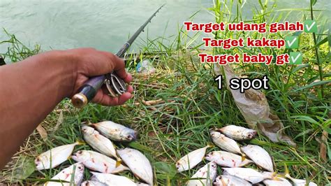 Spot Mancing Terbaik Bermacam Ikan Disini Full Strike Mancing Baby