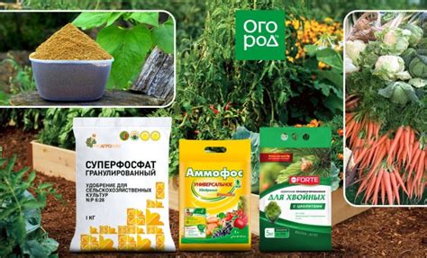 Фосфорные удобрения это какие названия