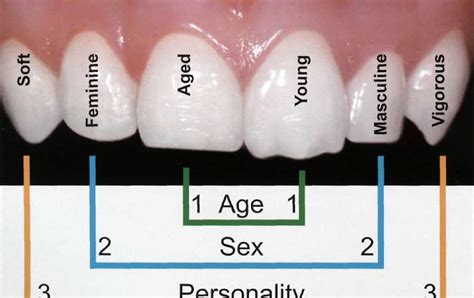 Sex Personality And Age Spa Factor Dental Esthetics